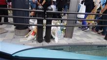 秋葉原通り魔事件の献花が酷過ぎる。