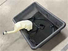 摘出