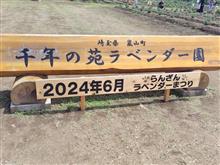 千年の苑ラベンダー園