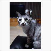 飛鳥18歳になる