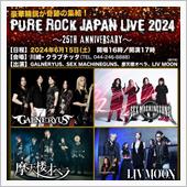 Pure Rock Japa ...