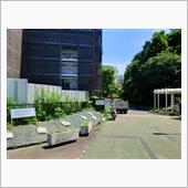 RC211Vと大学校