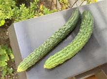 定期購入の季節です