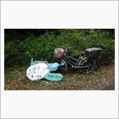 サイクルなんちゃらはもう無い