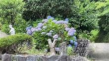 そろそろ梅雨入り？