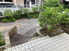出撃致します(・∀・)ノ