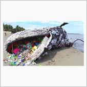 マイクロプラスチック～今更そ ...
