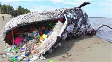マイクロプラスチック～今更そんな事を言われても．．．