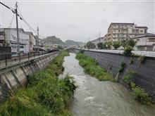 梅雨の楽しみ