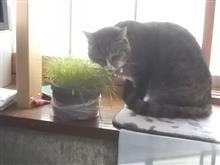 今日はこんことを、、、