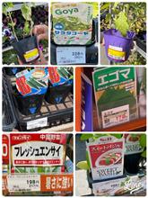 本日の予想最高気温は29度