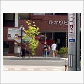 あれ、あかつ氏じゃぬ？