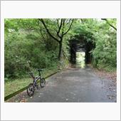 亀石峠から中野林道へ