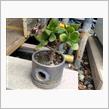 植鉢 ピストンが植木鉢