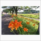 ６月。
