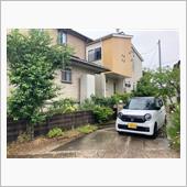 いよいよ梅雨入りですかねえ( ...