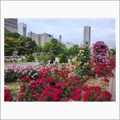花フェスタ2024