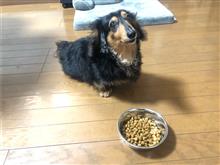 夏の自産自消…プロジェクト進行ちゅーレポート5🙋‍♂️0624