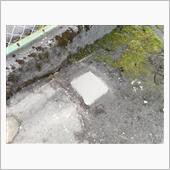 看板が更新制だと！