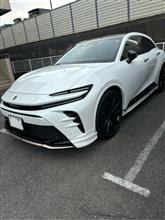 晴れたから愛車撮りました