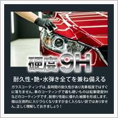 ★VELENO渾身のガラスコ ...