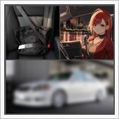 240625-2　後部座席も ...