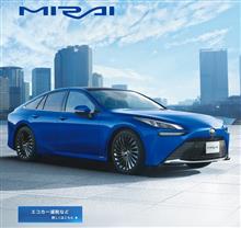 雹(ひょう)被害その後。。。次期マイカー検討編