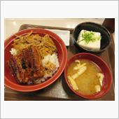 うなぎ　食べ始めました！
