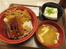 うなぎ　食べ始めました！