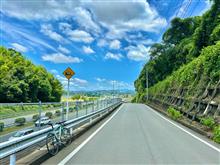翻弄されまくりデー 翻弄されまくりデー