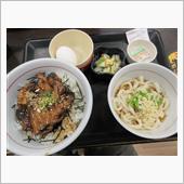 今日は通常で