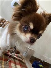 長く一緒に過ごしたい‼️