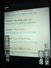 週間ランキング