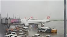 出張のため北海道へ！
