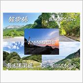 出過ぎ！