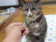 今日の反省会終わりました。（＾＾）