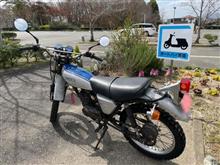 ホンダエルシノア　下半身整備（？）