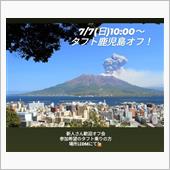 タフト　鹿児島オフ開催🙋🏻