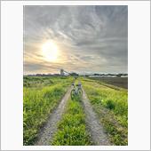 焼き鳥・彩雲
