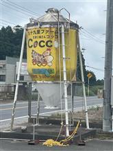 美味しい卵をたくさん食べて来ました。