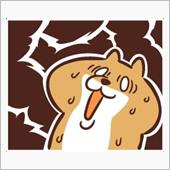 エストレヤでお出かけ…出来ま ...