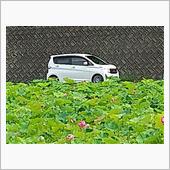 My ek ＆ はすの花🌺