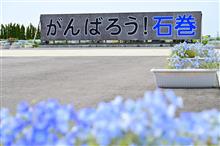 再び南浜町へ