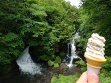 本日のソフト部活動は、ゆばソフト🍦
