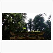 龍穴ってどこに?