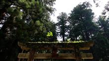 龍穴ってどこに? 龍穴ってどこに?