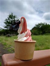 雨も上がり、暑くなってきました☀