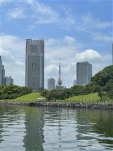 東京1年と235日目