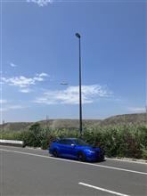 七夕の日だけどマイ盆栽カー維持りしてました　7月7日晴れ