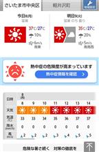 酷暑！さいたま市溶けちゃいます〰️